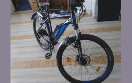 Fischer E-Bike Montis 1724 Sport