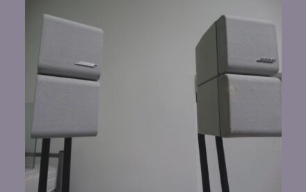 BOSE Double Cube Acoustimass Standlaursprecher